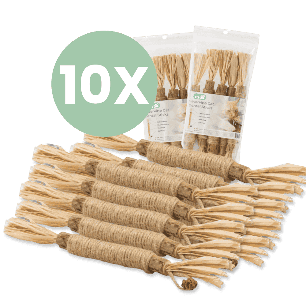 Silvervine dental sticks upsell BG