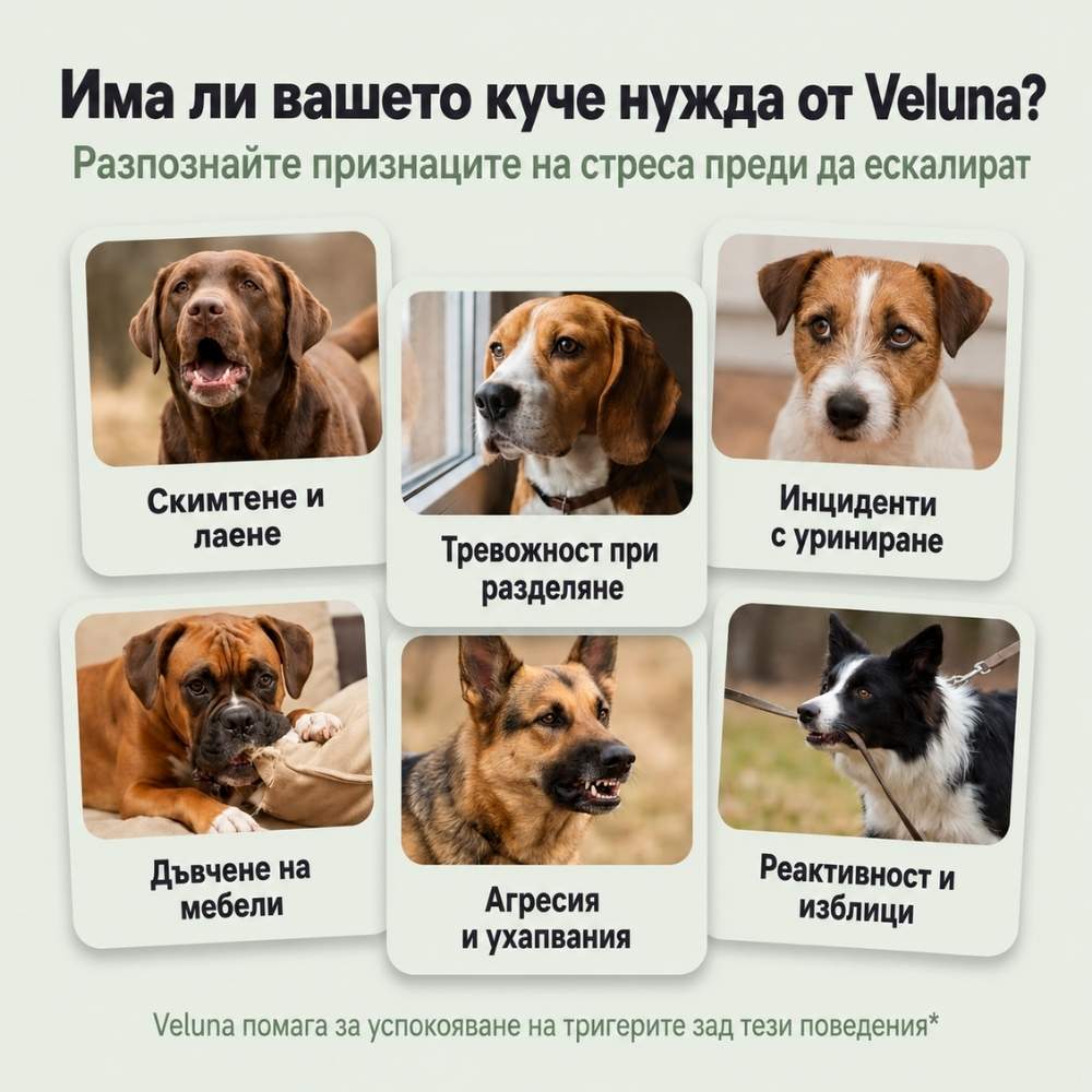 Veluna Феромонов дифузер за кучета