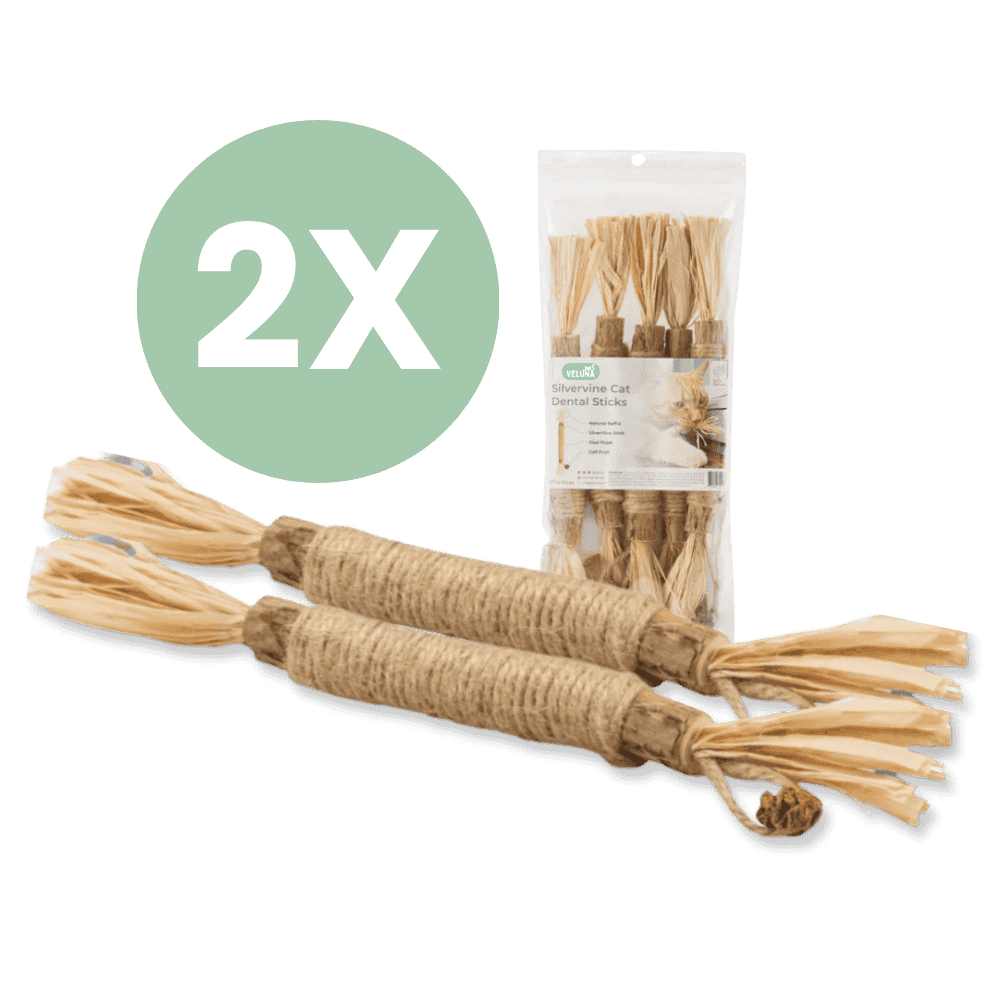 Silvervine dental sticks upsell BG