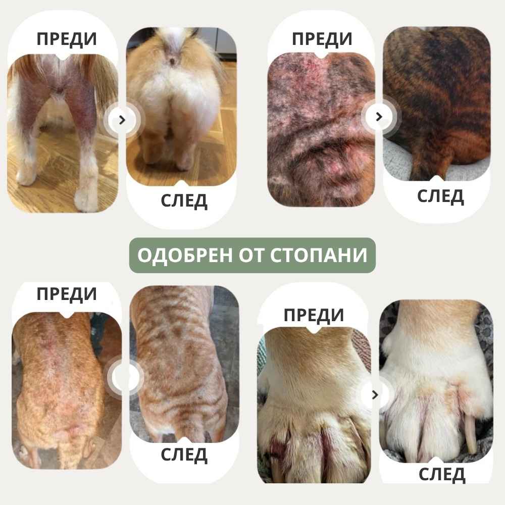 Veluna Спрей за Кожата на Кучета, Одобрен от Ветеринар