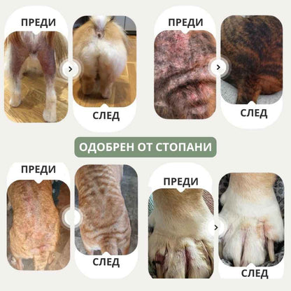 Veluna Спрей за Кожата на Кучета, Одобрен от Ветеринар