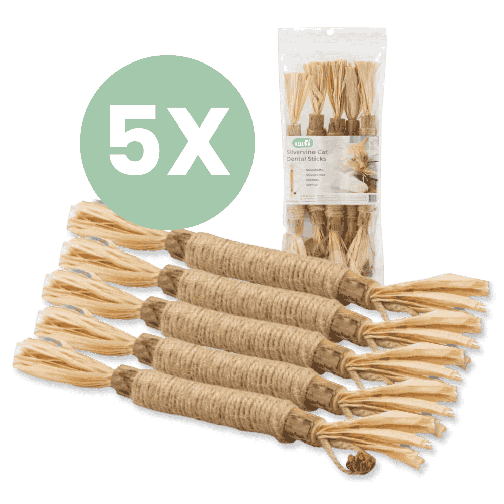 Silvervine dental sticks upsell BG