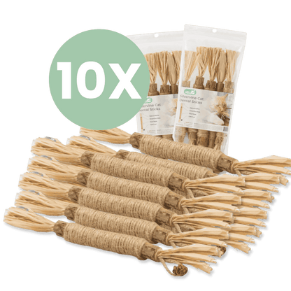 Silvervine dental sticks upsell BG