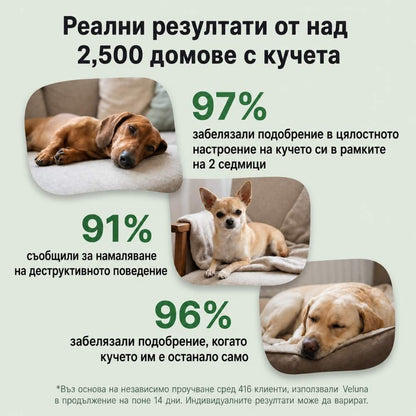 Veluna Феромонов дифузер за кучета