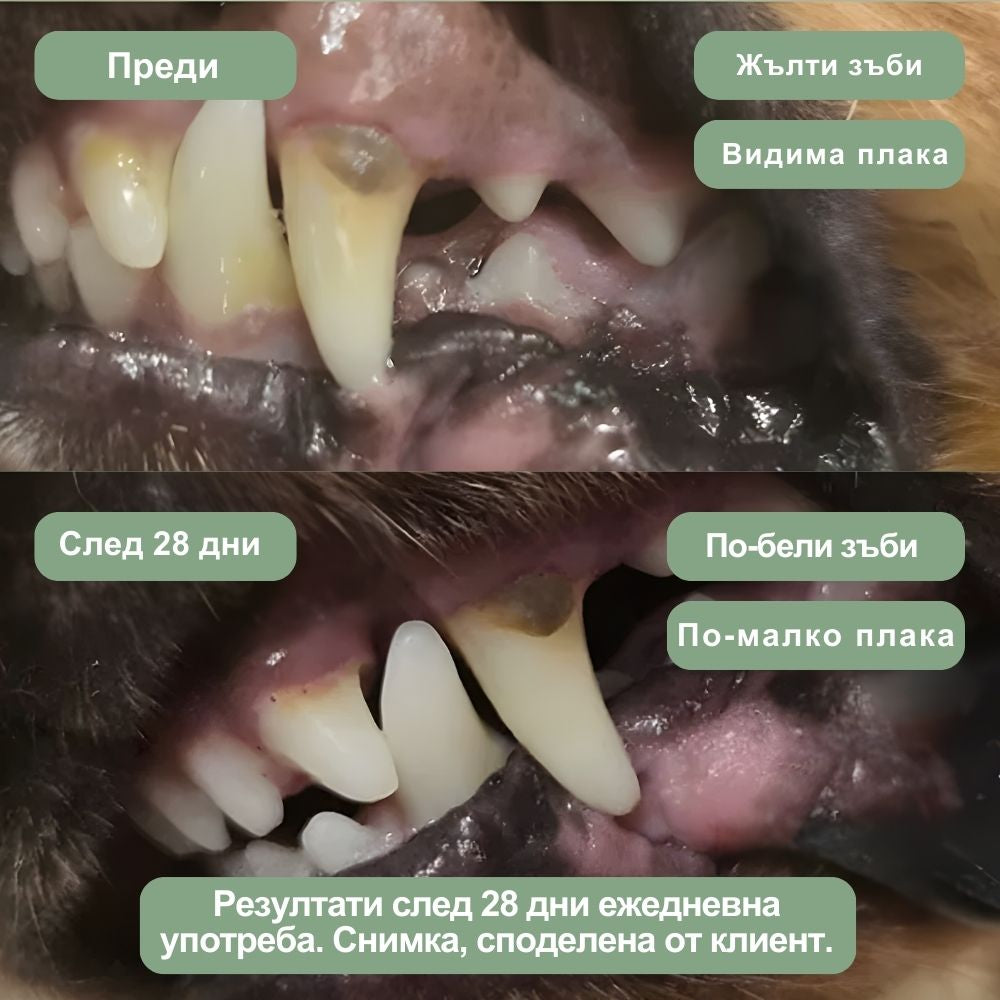 Veluna Дентален Прах за Кучета