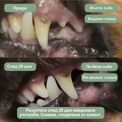 Veluna Дентален Прах за Кучета