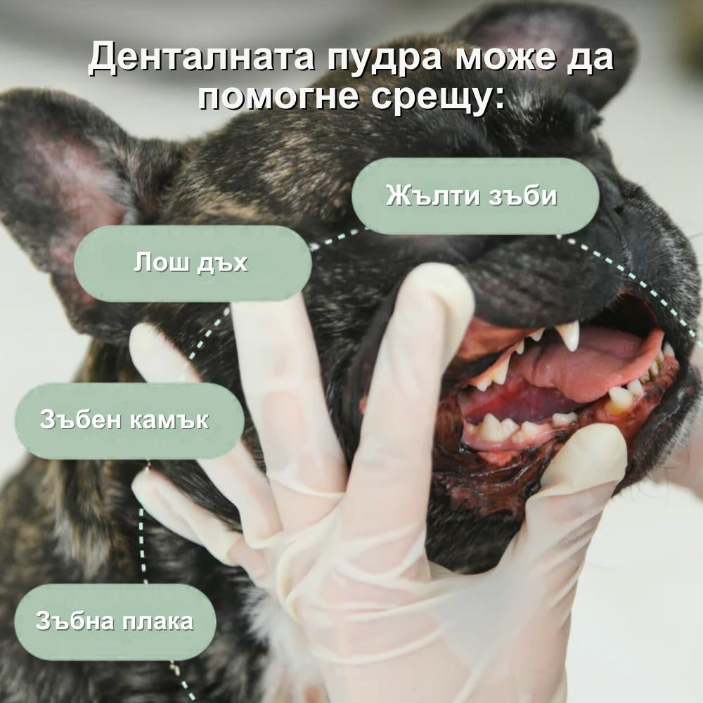 Veluna Дентален Прах за Кучета