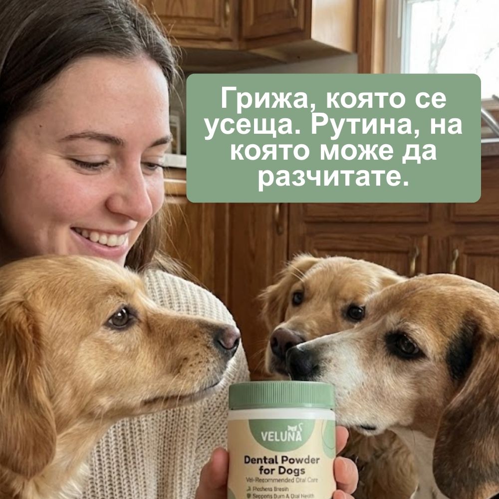 Veluna Дентален Прах за Кучета