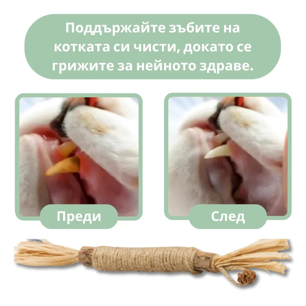 Silvervine dental sticks upsell BG