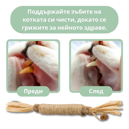 Silvervine dental sticks upsell BG