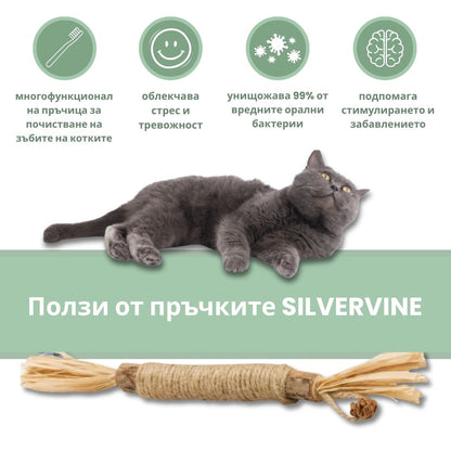 Silvervine dental sticks upsell BG