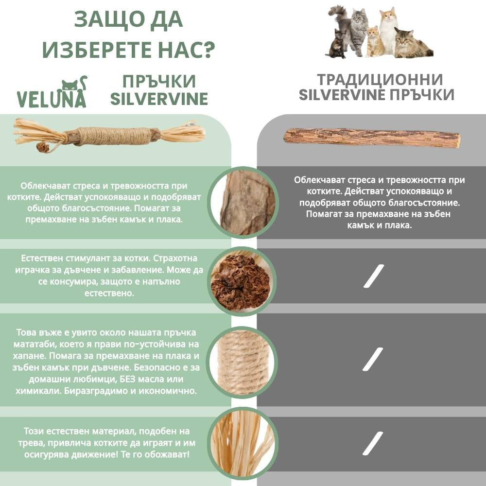 Silvervine dental sticks upsell BG