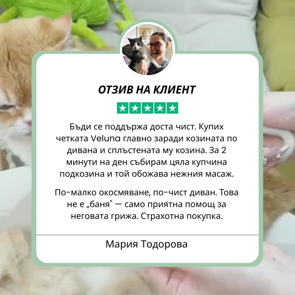 Veluna Steam Brush за Кучета