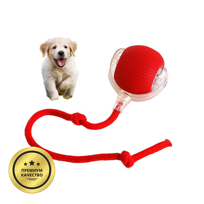 Интелигентна и интерактивна топка за вашето куче – зарежда се през USB