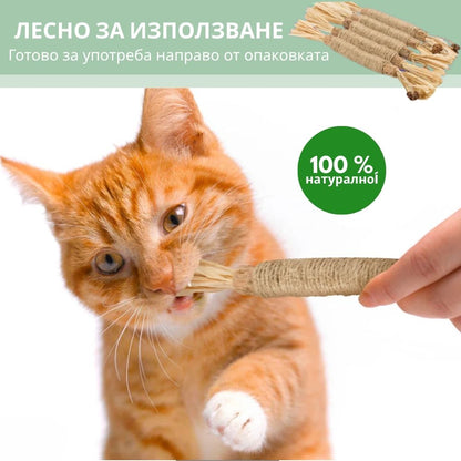 Silvervine dental sticks upsell BG