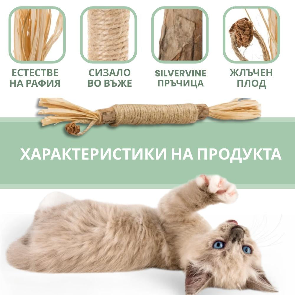 Silvervine dental sticks upsell BG