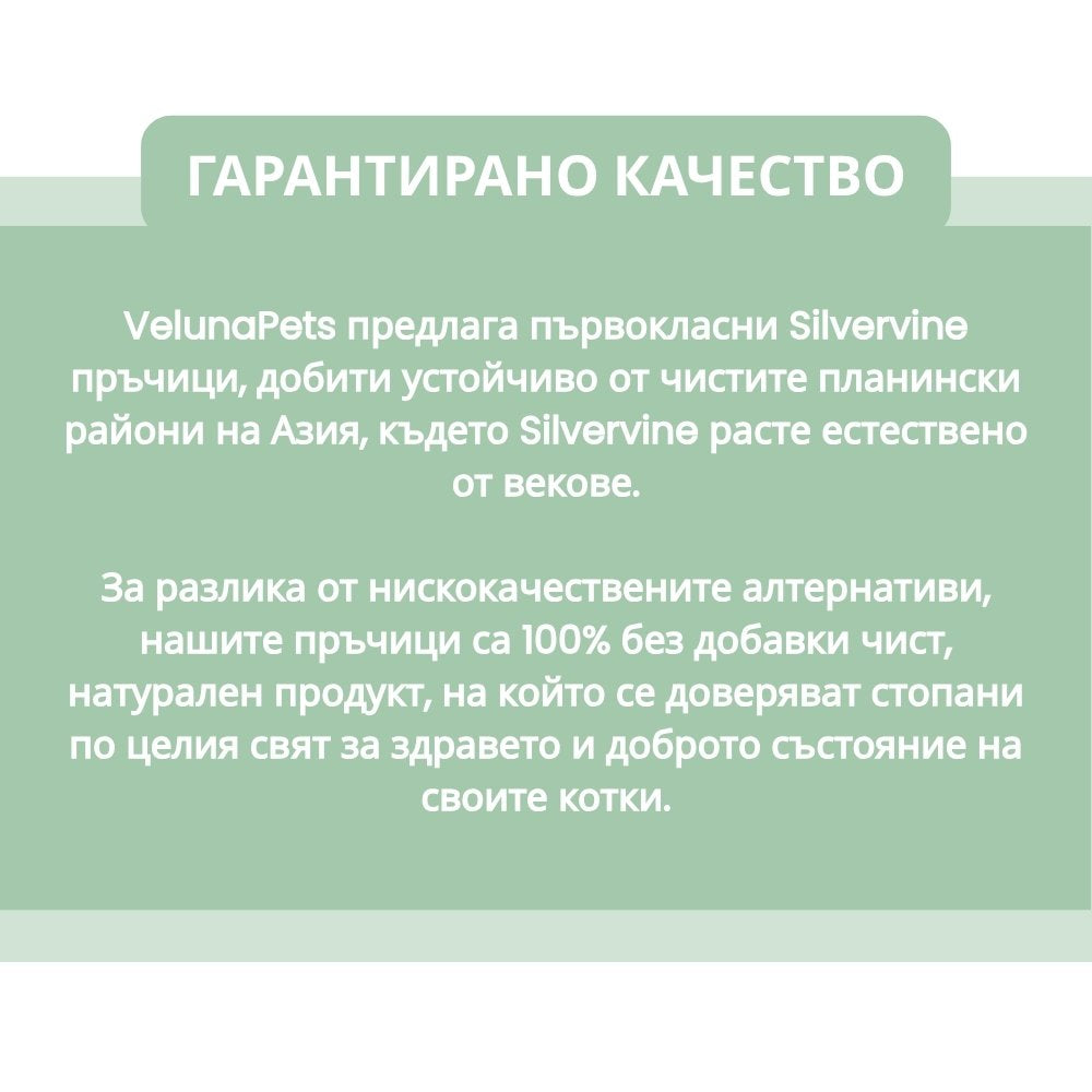 Silvervine dental sticks upsell BG