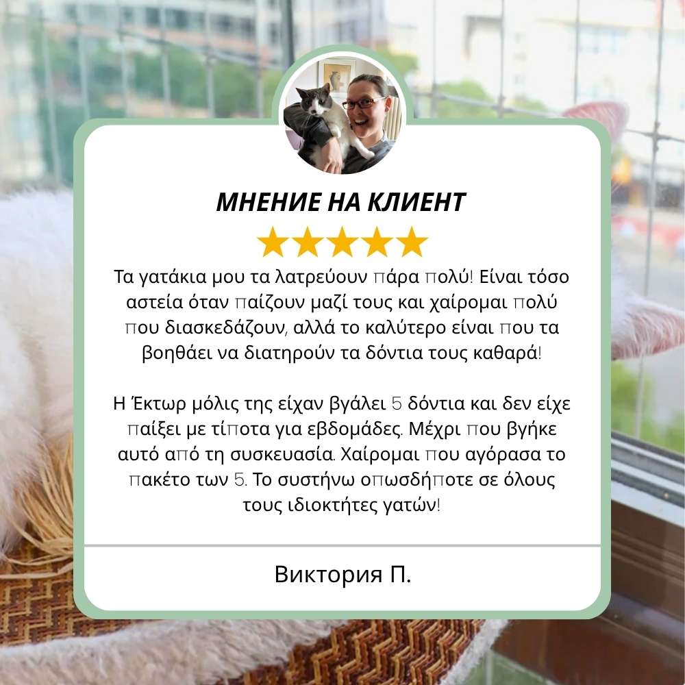 Silvervine dental sticks upsell BG