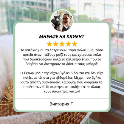 Silvervine dental sticks upsell BG