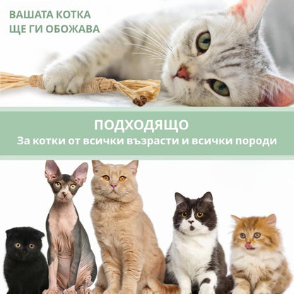 Silvervine dental sticks upsell BG