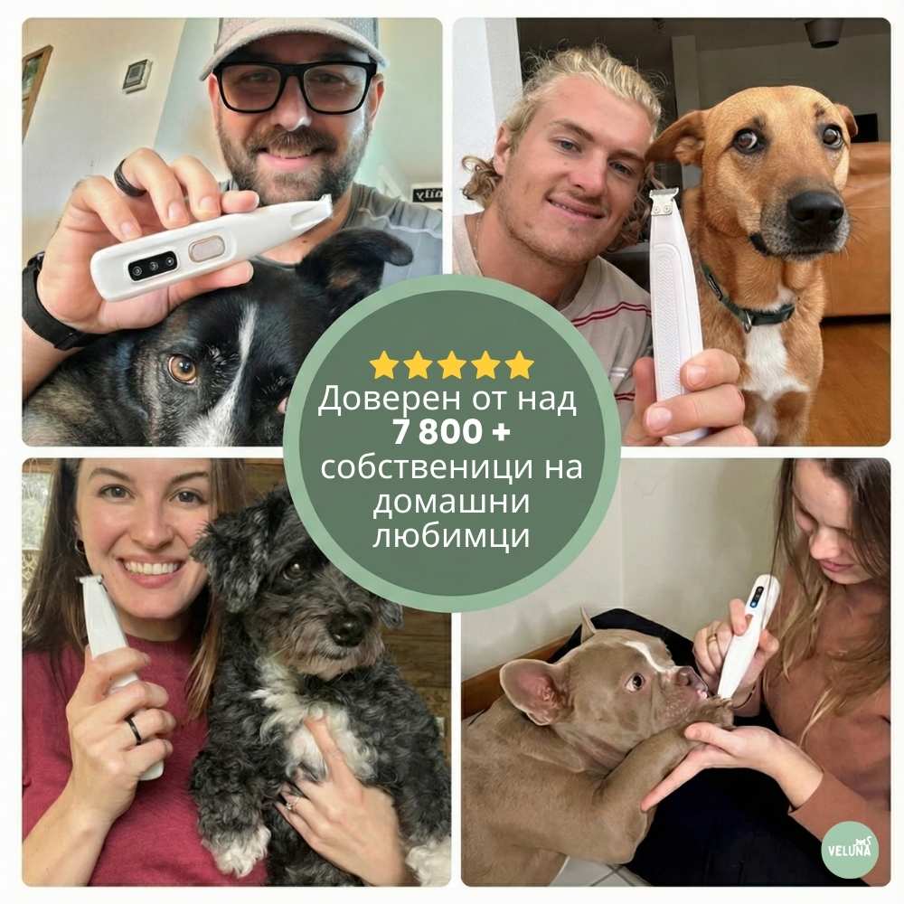 PawTrim Pro – Безболезнена грижа за лапите за секунди