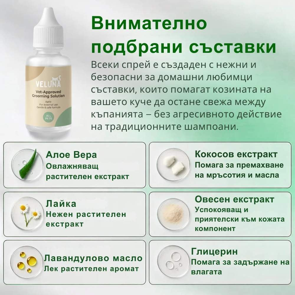 Veluna FreshBrush с Почистващ Спрей