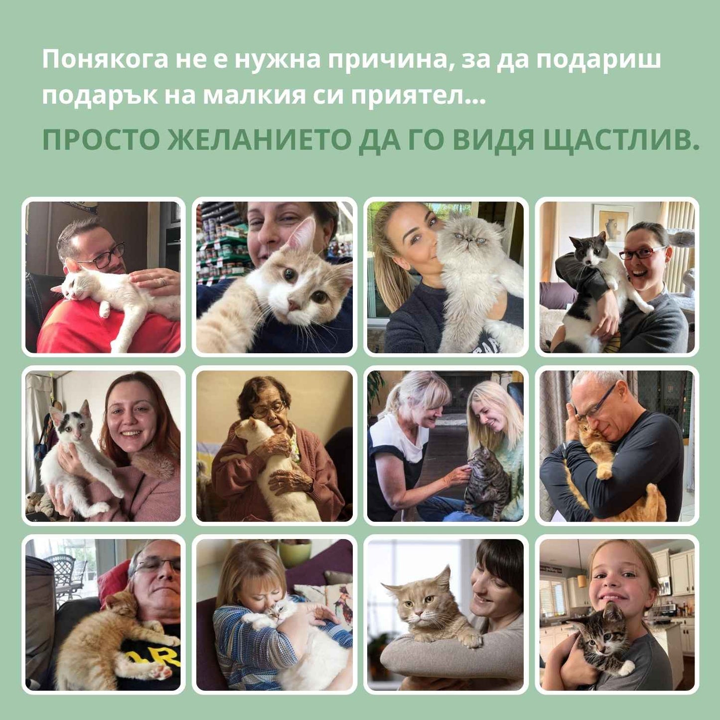 Интелигентна топка за котки, 100% автономна, проектирана да имитира истинска площадка.