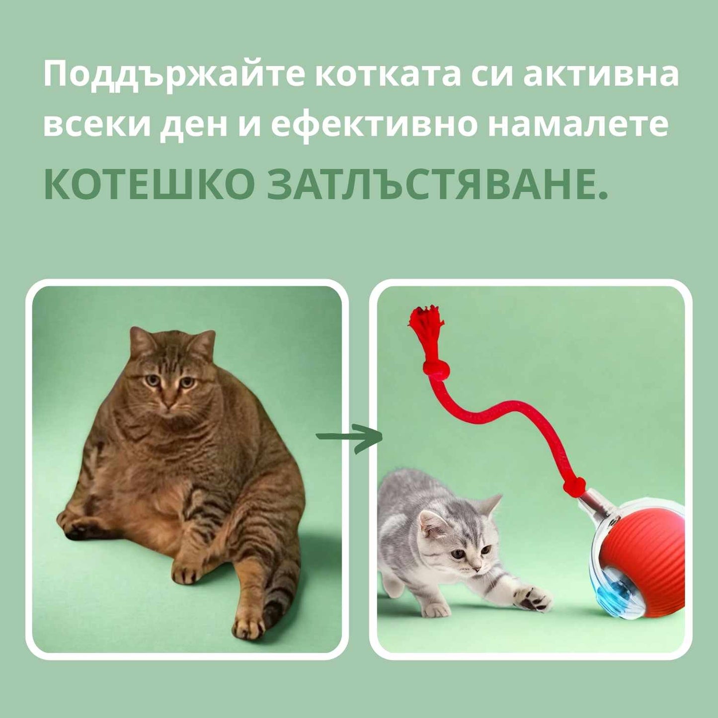 Интелигентна топка за котки, 100% автономна, проектирана да имитира истинска площадка.