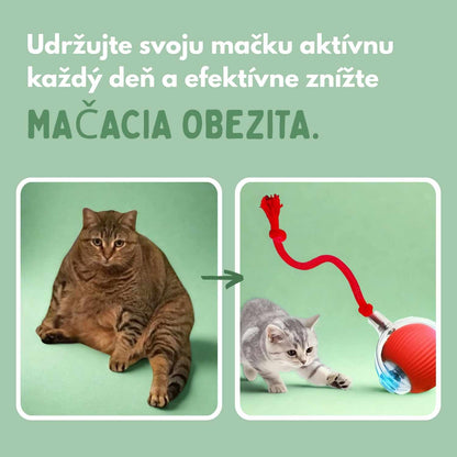 Inteligentná loptička pre mačky, 100 % autonómna, navrhnutá tak, aby nadobňovala skutočnú korisť