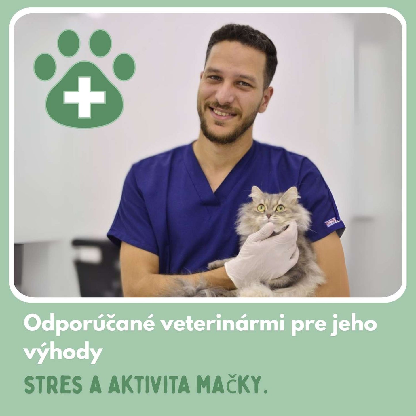 Inteligentná loptička pre mačky, 100 % autonómna, navrhnutá tak, aby nadobňovala skutočnú korisť