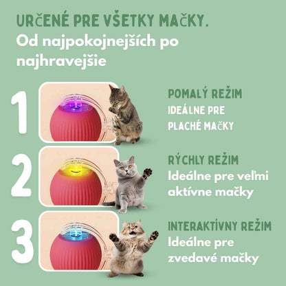 Inteligentná loptička pre mačky, 100 % autonómna, navrhnutá tak, aby nadobňovala skutočnú korisť