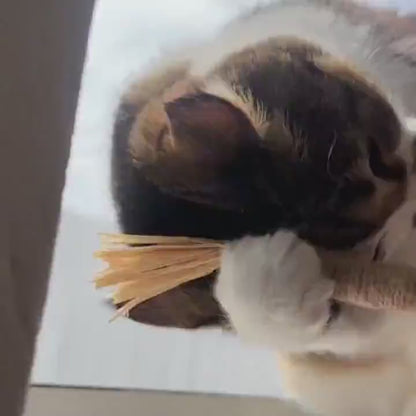 Silvervine dental sticks upsell BG